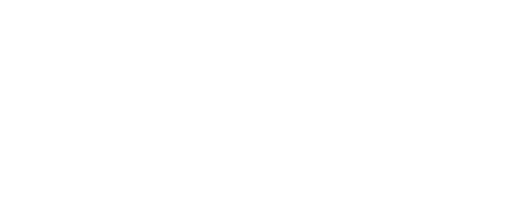 N Salon